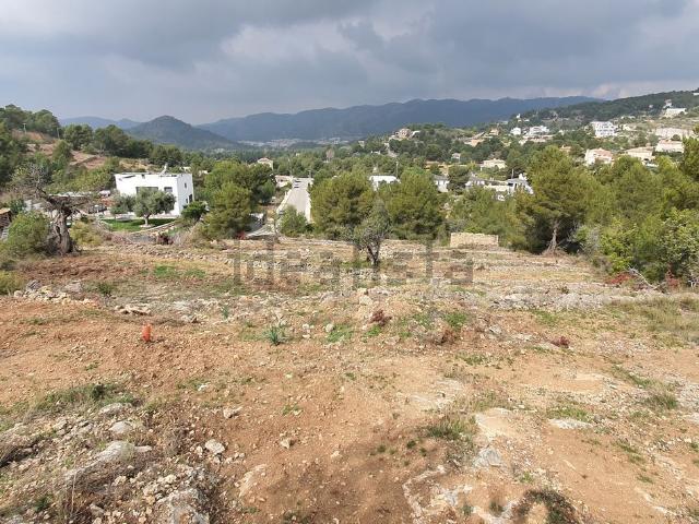 Terreno, Borriol