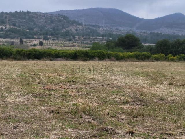 Terreno, Borriol