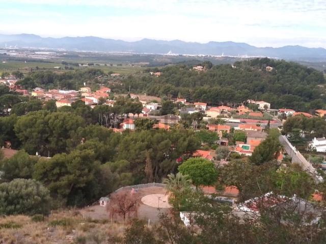 Terreno, Borriol