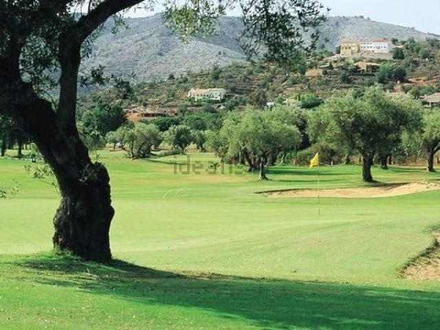 Terreno, Borriol