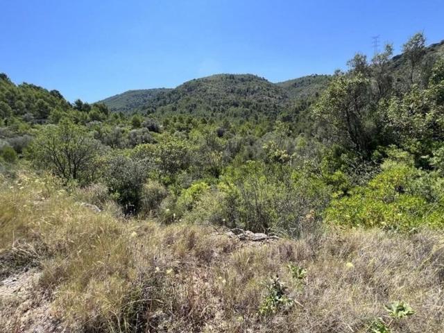Terreno, Borriol