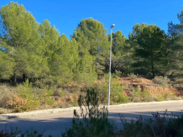 Terreno, Borriol