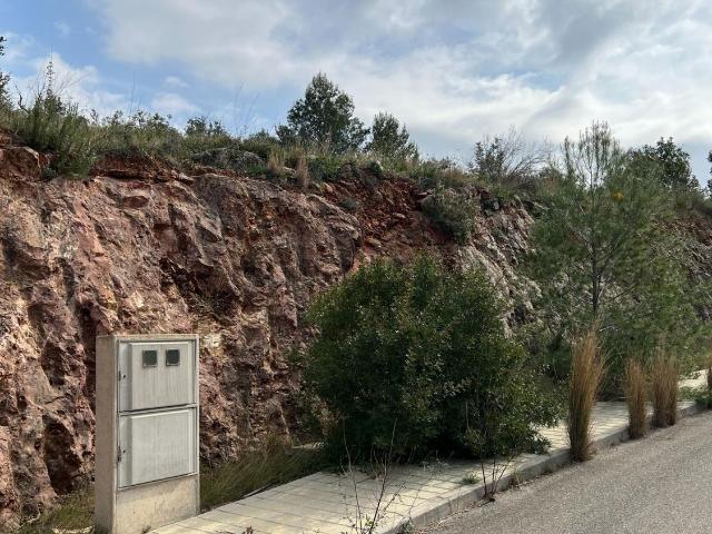 Terreno, Borriol