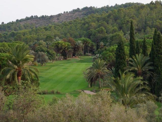 Terreno, Borriol