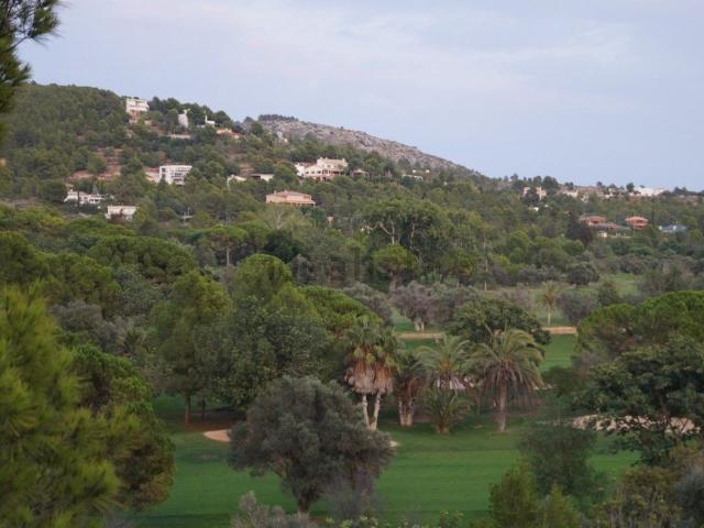 Terreno, Borriol