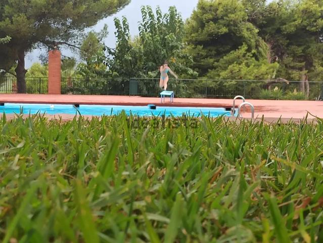 Terreno, Borriol