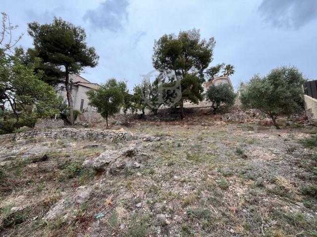 Terreno, Borriol
