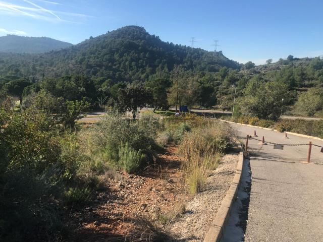 Terreno, Borriol