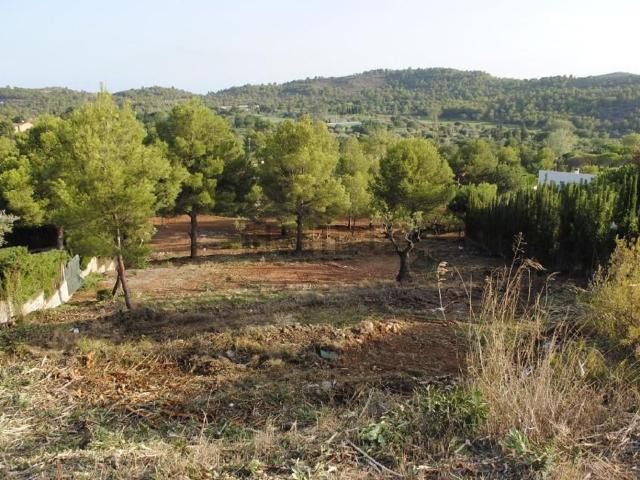 Terreno, Borriol