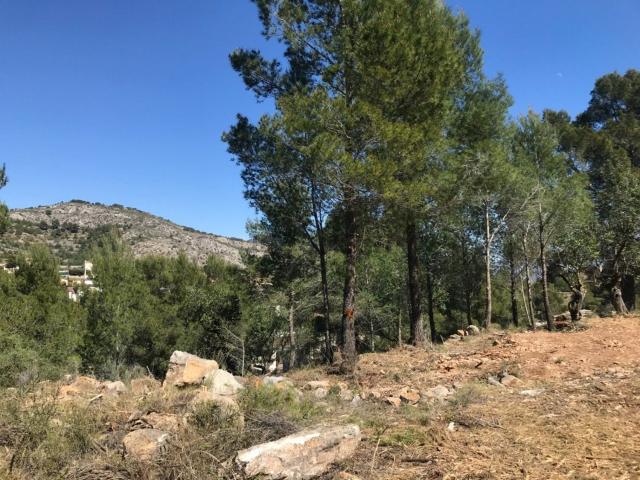 Terreno, Borriol