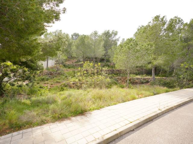 Terreno, Borriol