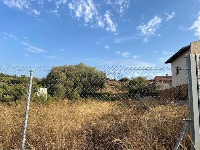 Terreno, Borriol