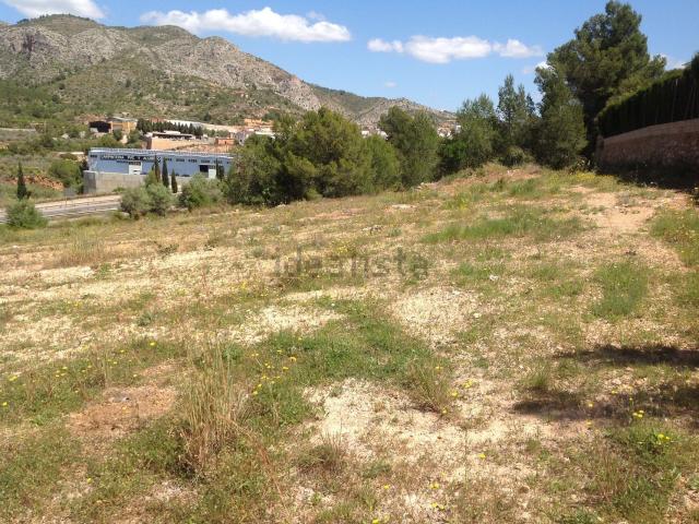 Terreno, Borriol