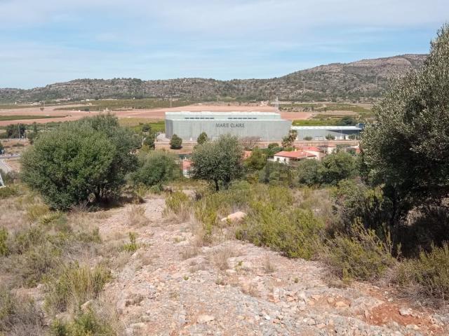 Terreno, Borriol