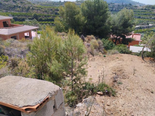 Terreno, Borriol