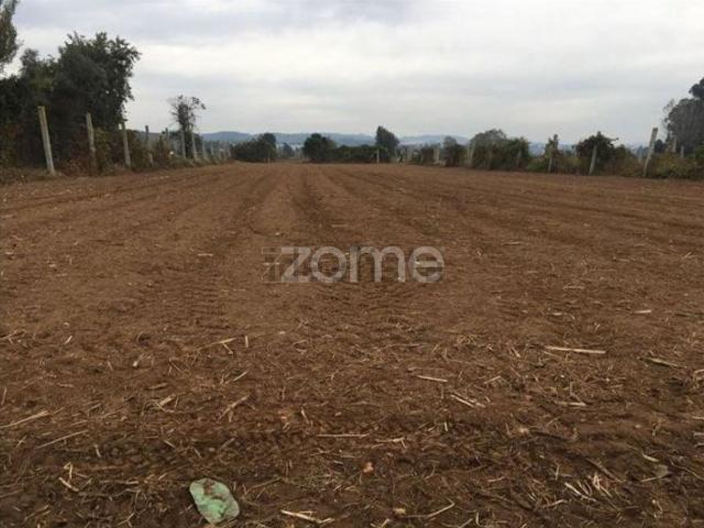 Terreno, Bougado