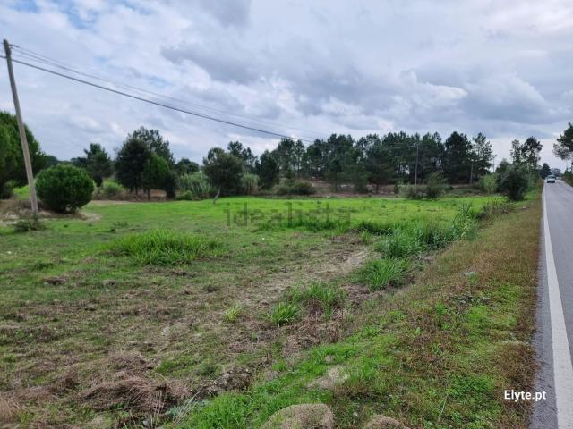 Terreno, Branca