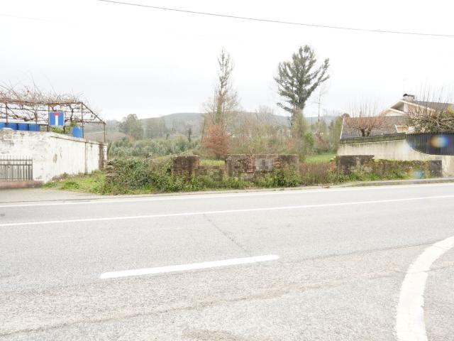 Terreno, Branca