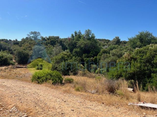 Terreno, Branqueira Brejos, Albufeira e Olhos de Água