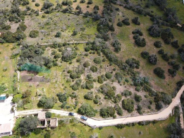 Terreno, Branqueira Brejos, Albufeira e Olhos de Água