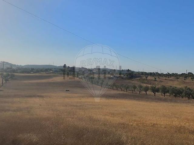 Terreno, Brogueira Parceiros de Igreja Alcorochel