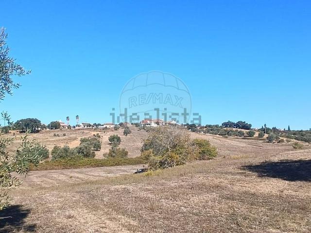 Terreno, Brogueira Parceiros de Igreja Alcorochel