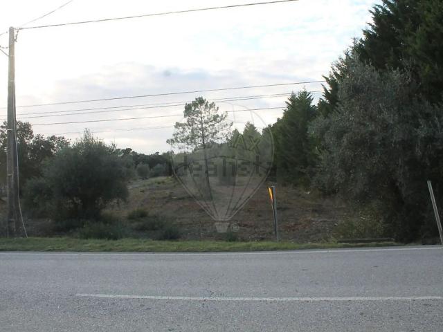 Terreno, Brogueira Parceiros de Igreja Alcorochel