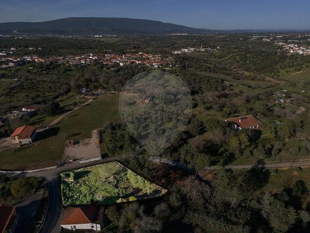 Terreno, Brogueira Parceiros de Igreja Alcorochel