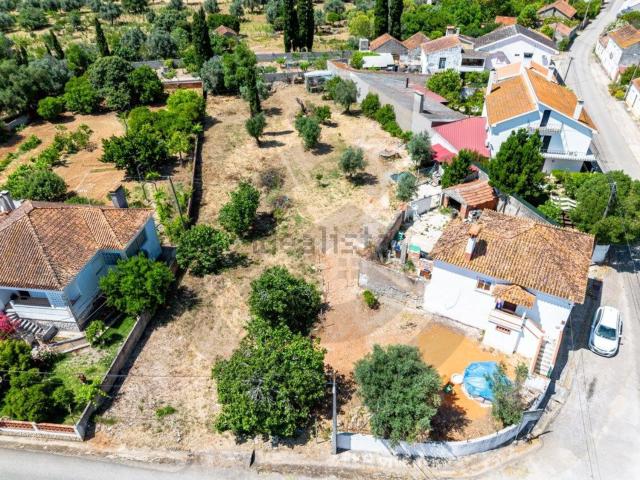 Terreno, Brogueira Parceiros de Igreja Alcorochel