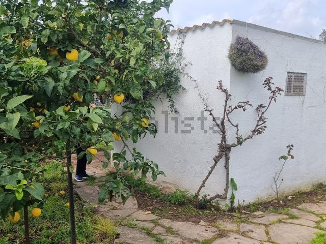 Terreno, Cubelles