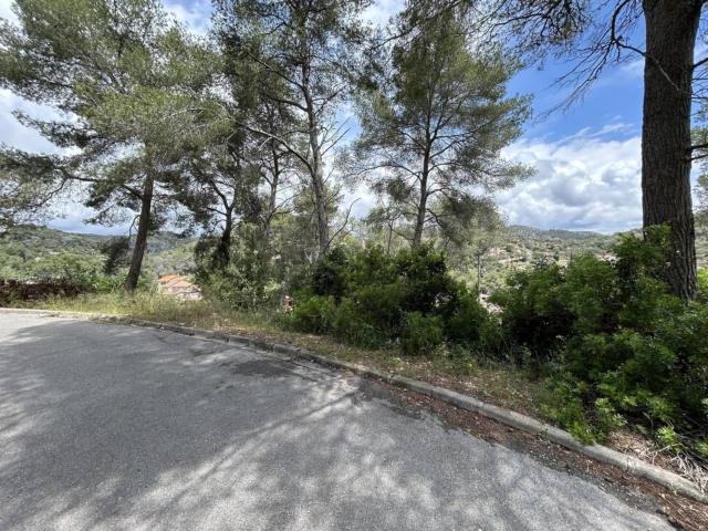 Terreno, Cubelles