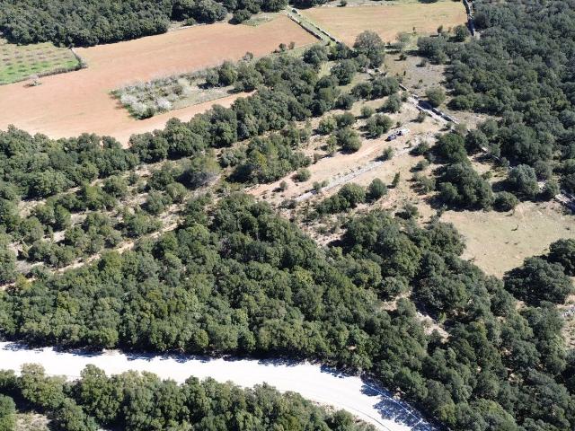 Terreno, Culla