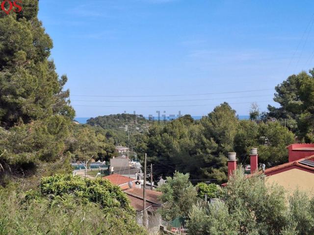Terreno, Cunit