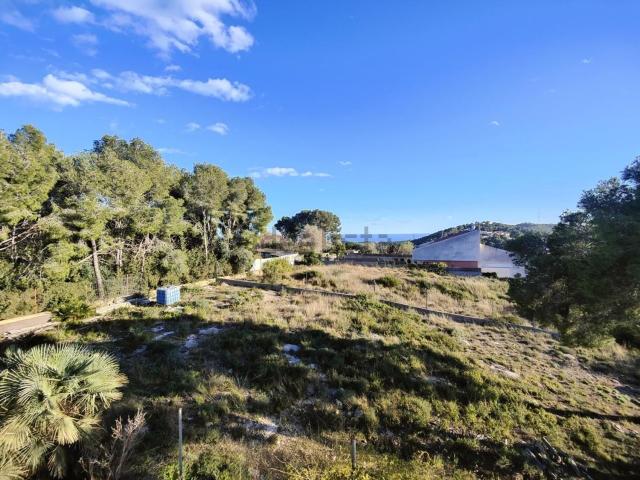 Terreno, Cunit