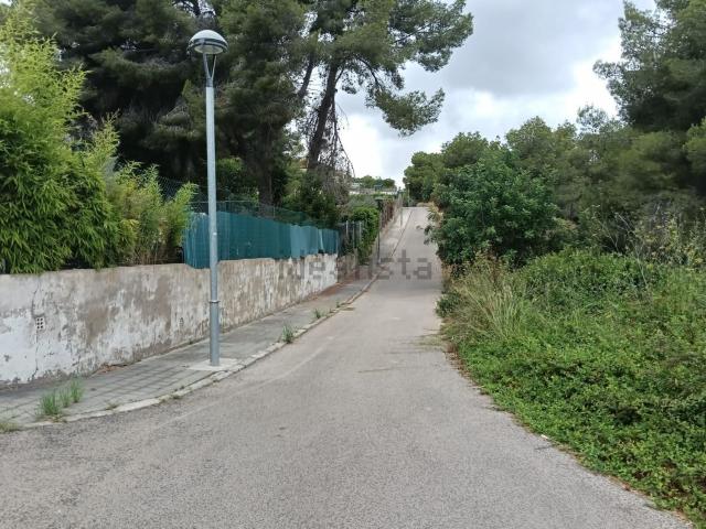 Terreno, Cunit