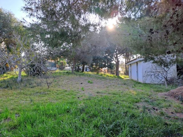 Terreno, Cunit