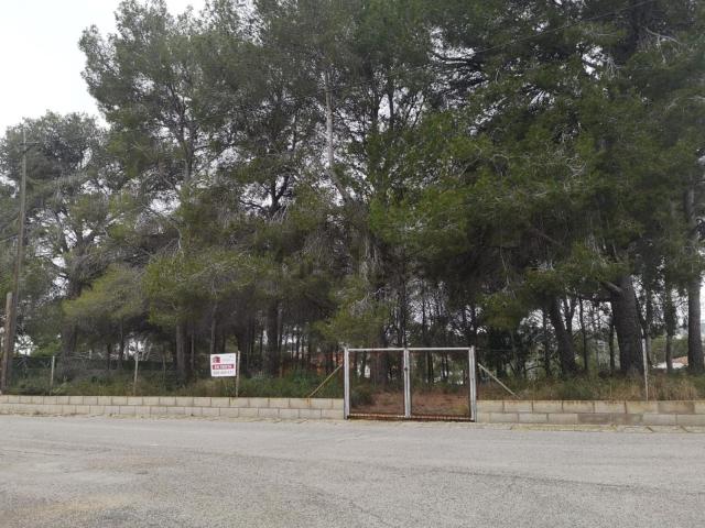 Terreno, Cunit