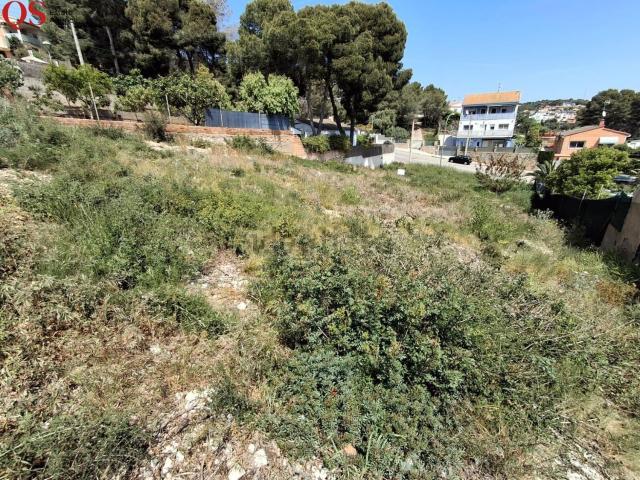 Terreno, Cunit