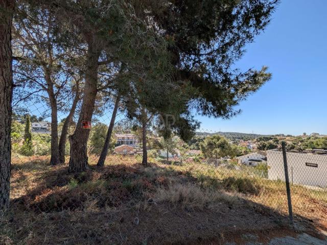 Terreno, Cunit