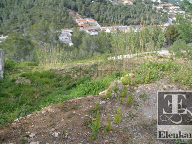 Terreno, Cunit