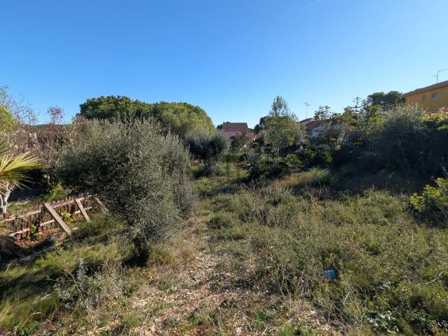 Terreno, Cunit