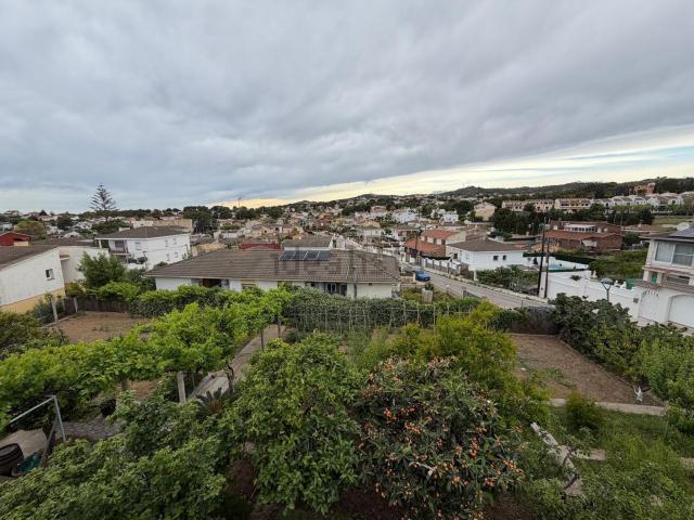 Terreno, Cunit