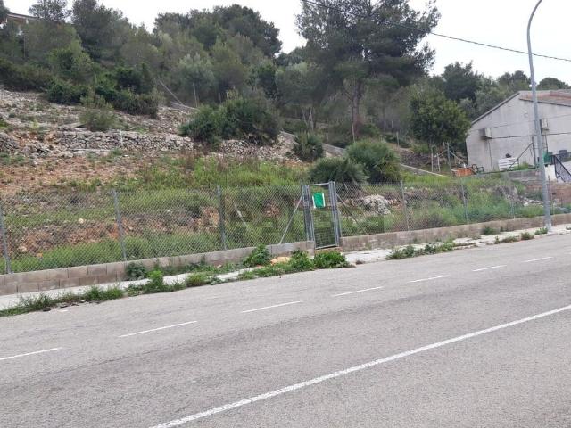Terreno, Cunit