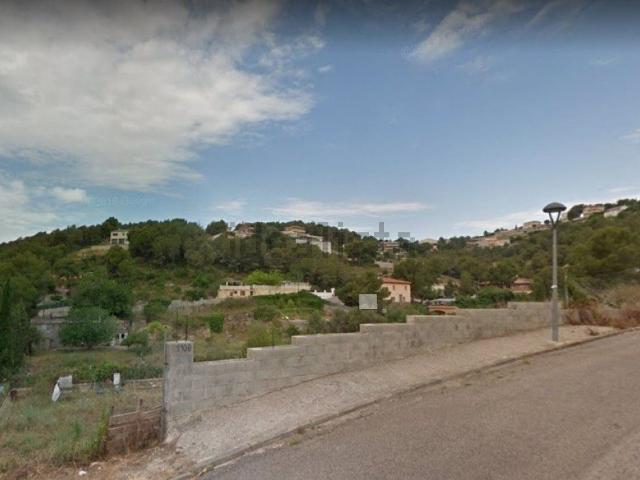 Terreno, Cunit