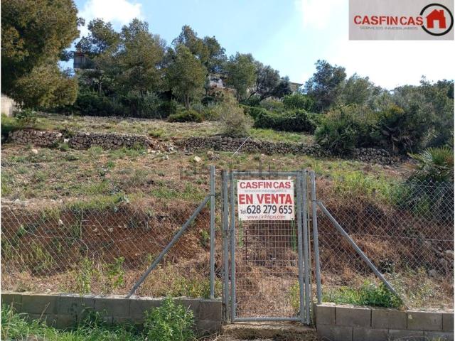 Terreno, Cunit