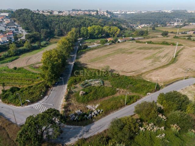 Terreno, Guifões
