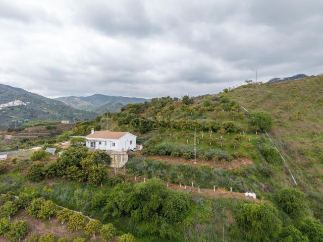 Terreno, Cutar