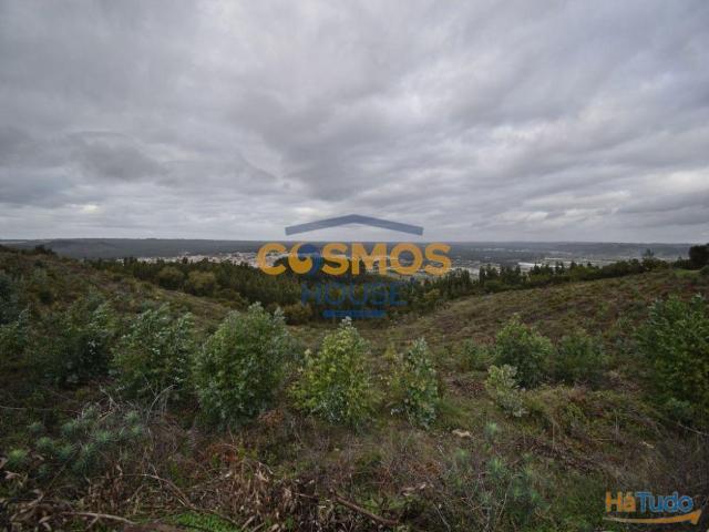Terreno c/ 12780 m2 a 12Km Nazaré | 25043900201