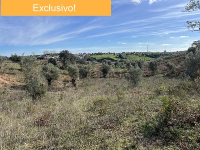 Terreno c/ 4ha, excelente oportunidade de investimento