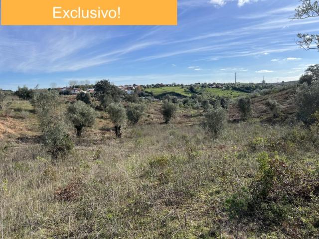Terreno c/ 4ha, excelente oportunidade de investimento